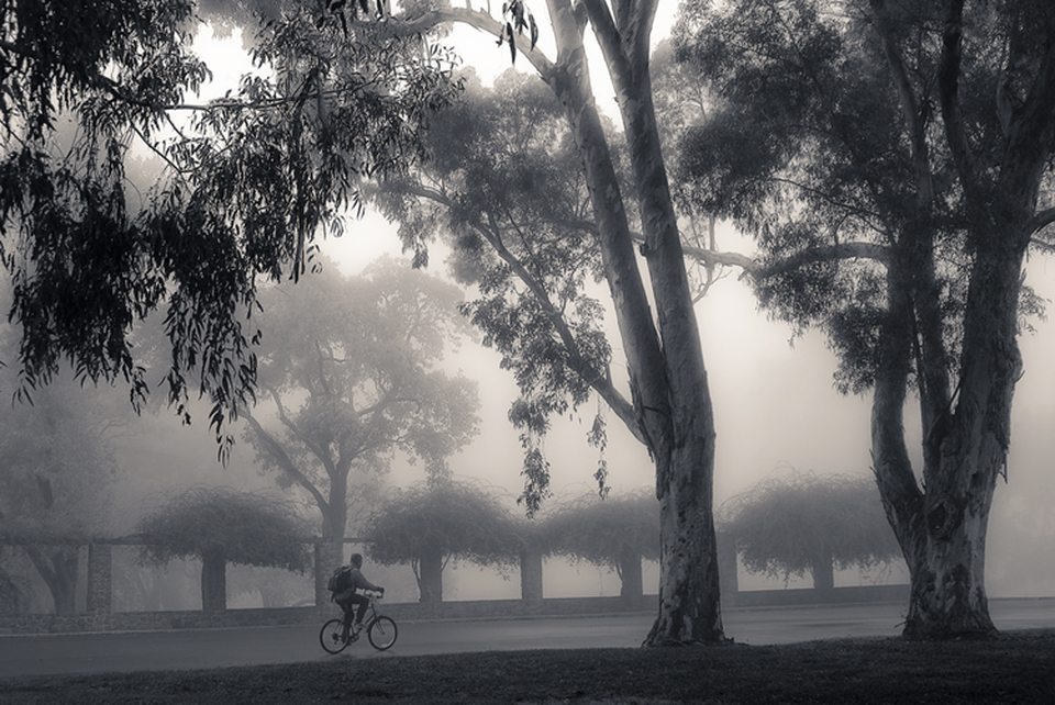 Foggy Commute by Don Satterlee